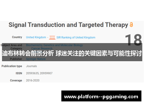 迪布林转会前景分析 球迷关注的关键因素与可能性探讨