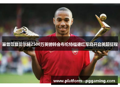 塞普范登贝尔赫2500万英镑转会布伦特福德红军将开启英超征程