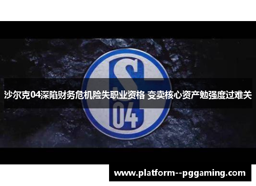 沙尔克04深陷财务危机险失职业资格 变卖核心资产勉强度过难关
