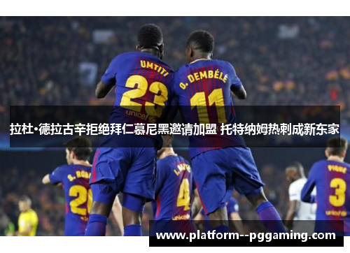 拉杜·德拉古辛拒绝拜仁慕尼黑邀请加盟 托特纳姆热刺成新东家